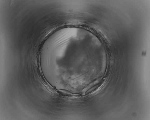 X0000093731401200711060950