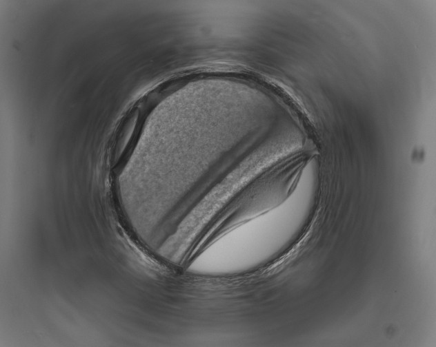 X0000093731402200711060950