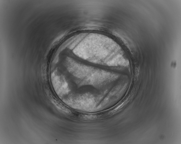 X0000093731403200711060950