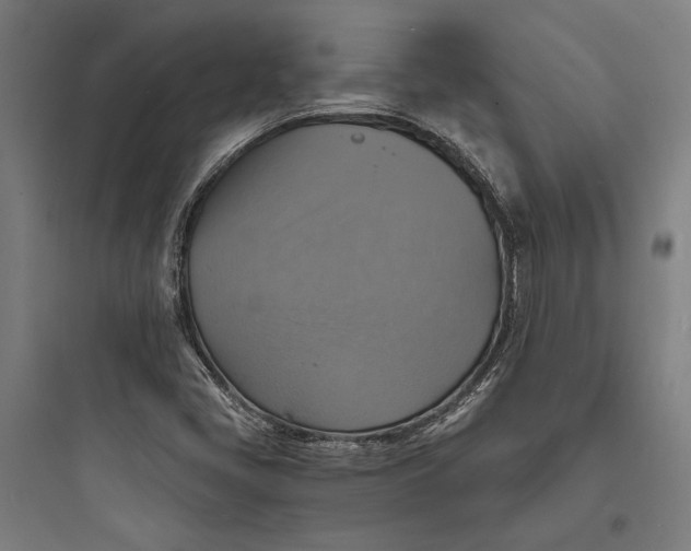 X0000093731405200711060950