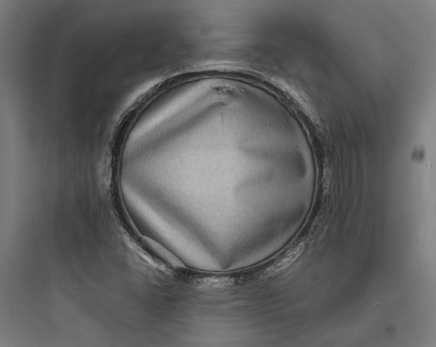 X0000093731406200711060950