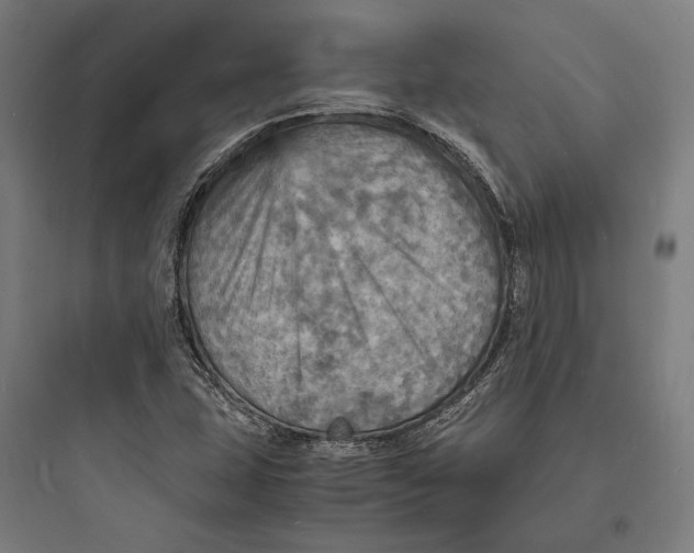 X0000093731407200711060950