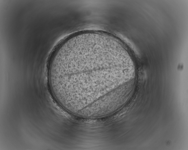 X0000093731408200711060950