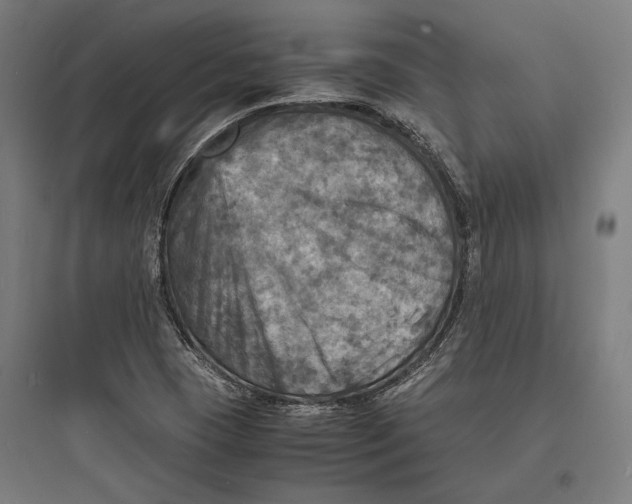 X0000093731409200711060950