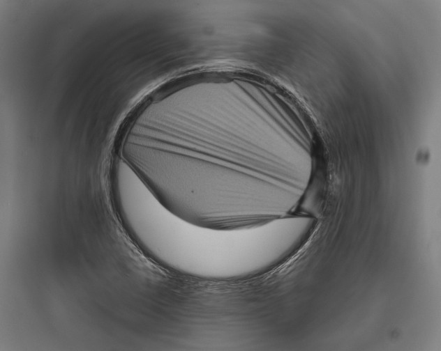 X0000093731410200711060950