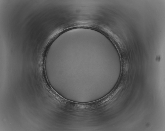 X0000093731411200711060950