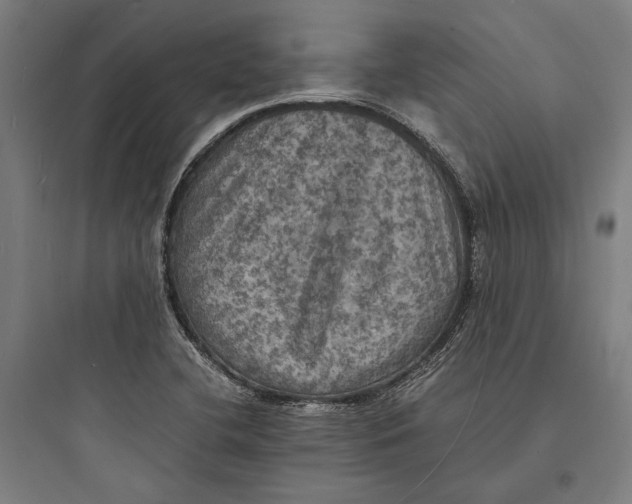 X0000093731412200711060950