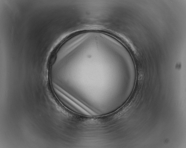 X0000093731414200711060950