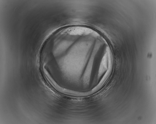 X0000093731415200711060950