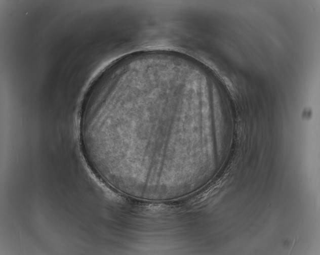 X0000093731416200711060950