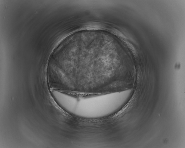 X0000093731417200711060950