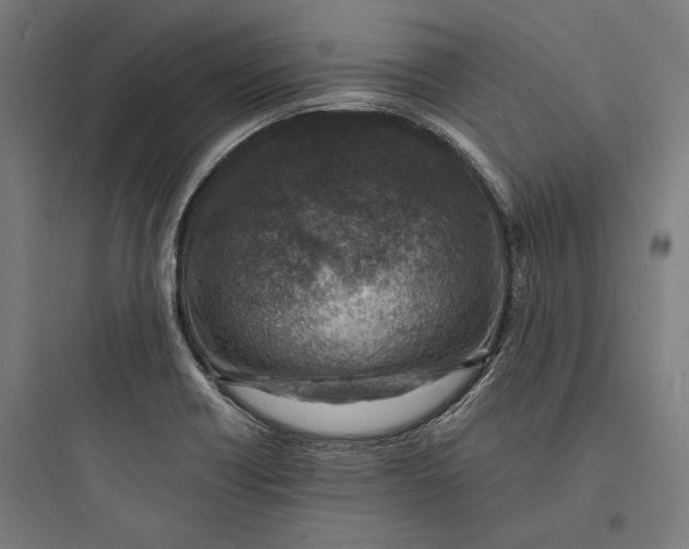 X0000093731418200711060950