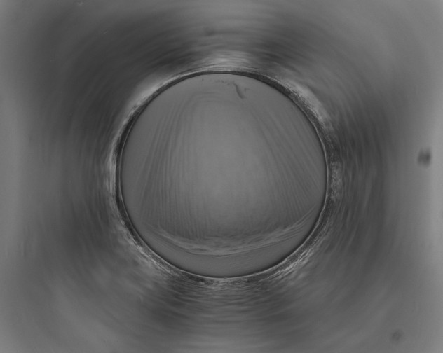 X0000093731419200711060950