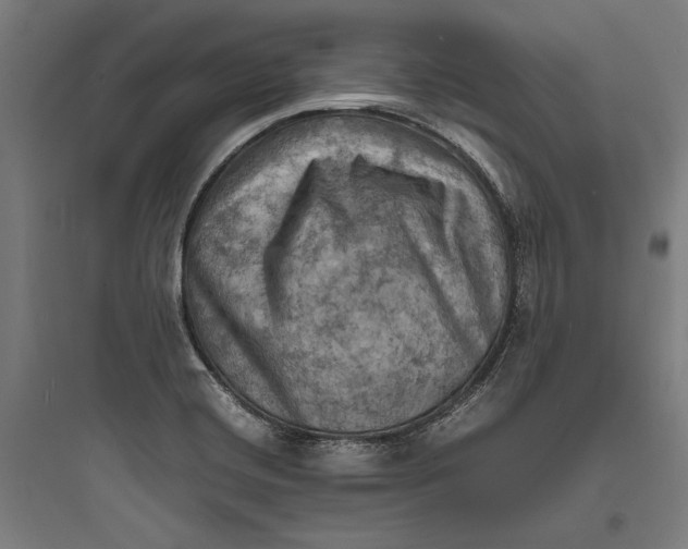 X0000093731420200711060950