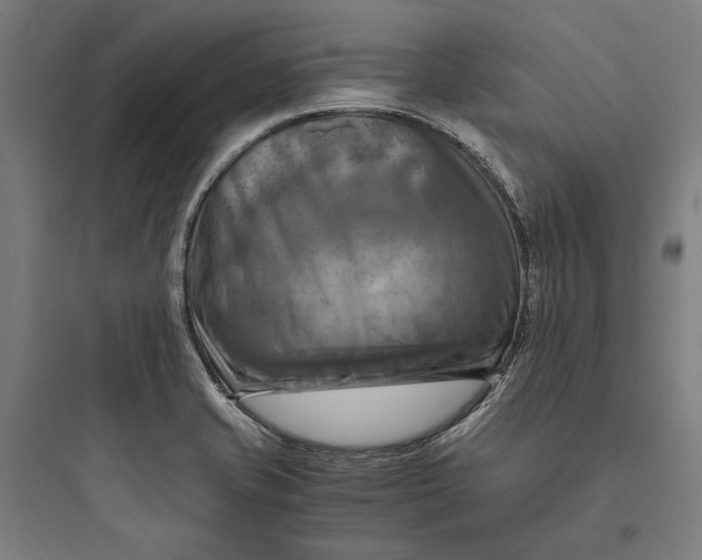 X0000093731421200711060950