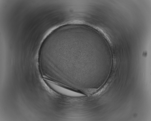 X0000093731422200711060950