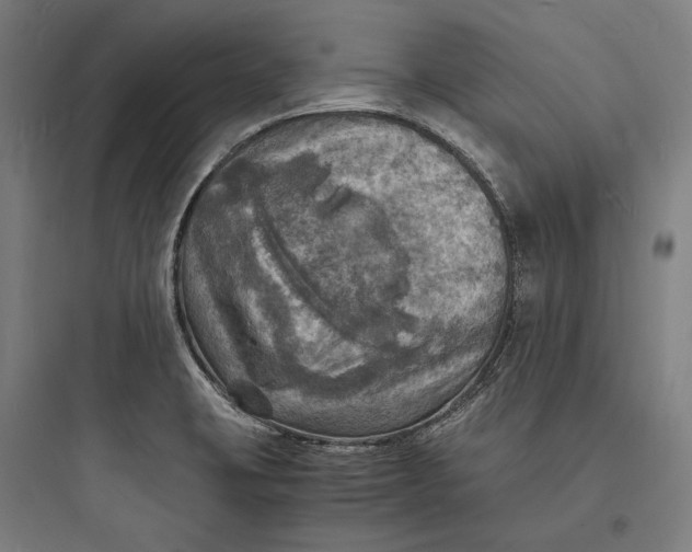 X0000093731423200711060950