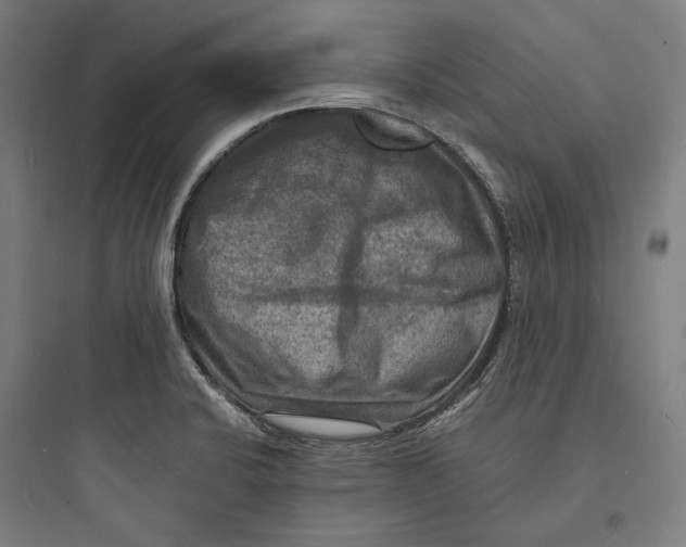 X0000093731424200711060950