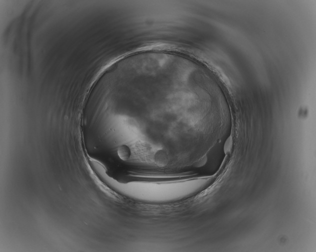 X0000093731425200711060950