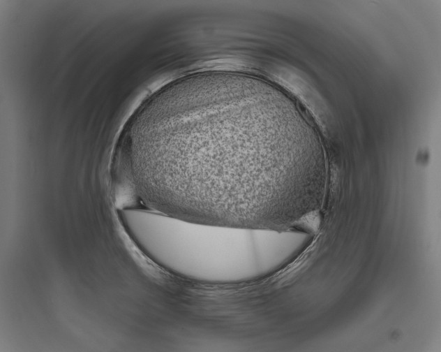 X0000093731426200711060950