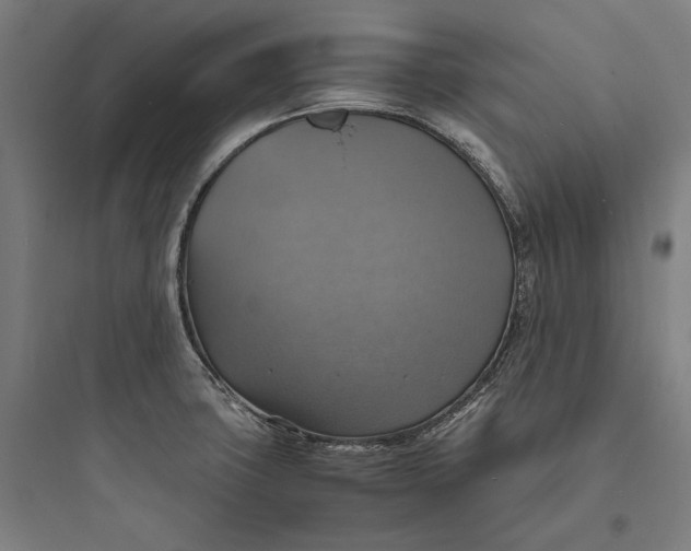 X0000093731427200711060950