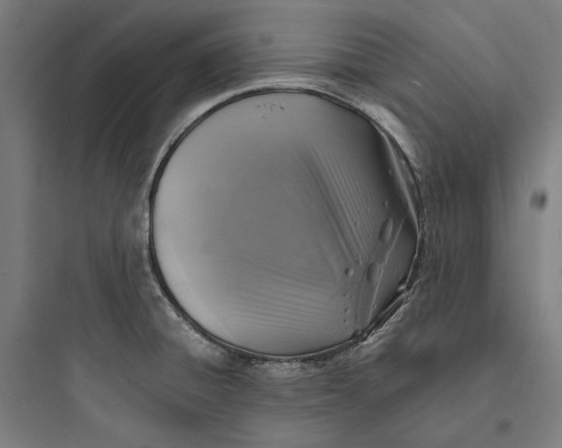 X0000093731428200711060950