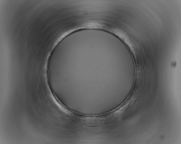 X0000093731429200711060950