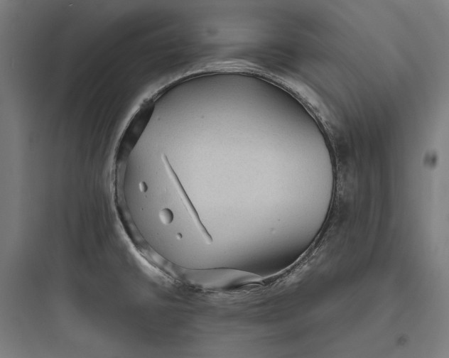 X0000093731430200711060950