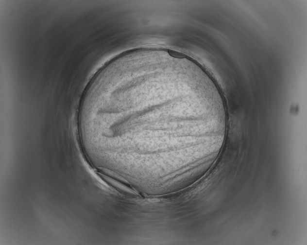 X0000093731432200711060950