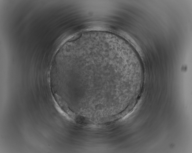 X0000093731433200711060950