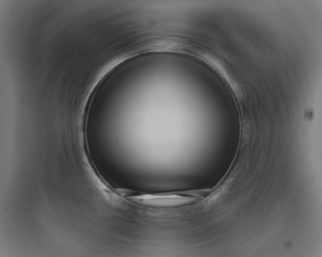 X0000093731434200711060950