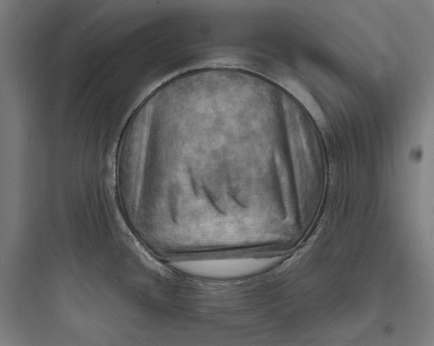 X0000093731436200711060950