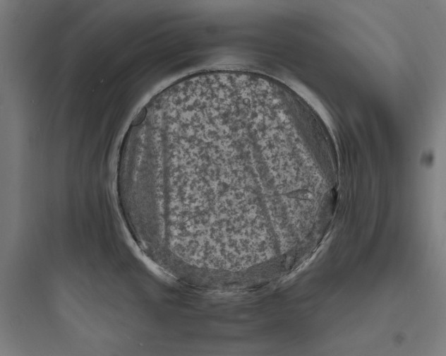 X0000093731437200711060950