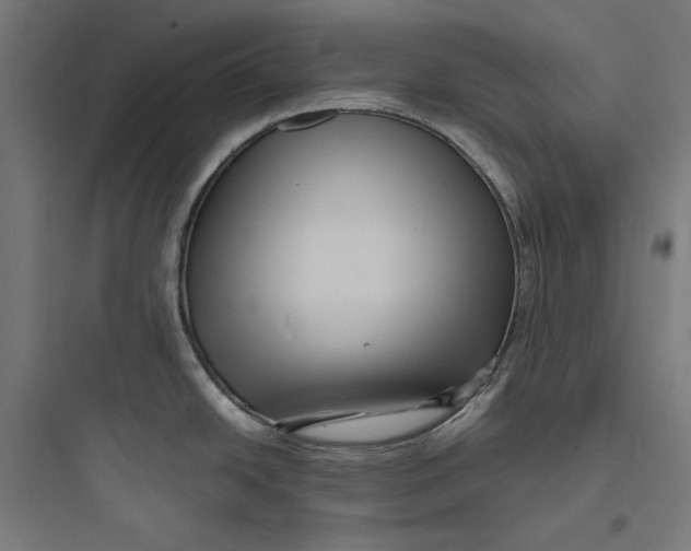 X0000093731438200711060950