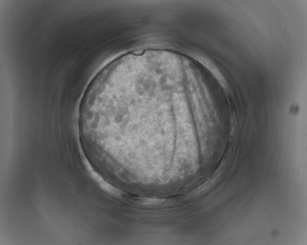 X0000093731439200711060950