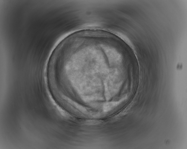 X0000093731440200711060950