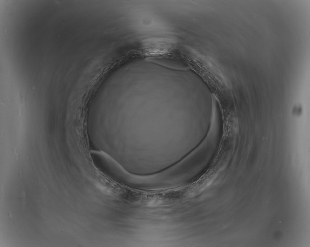 X0000093731441200711060950