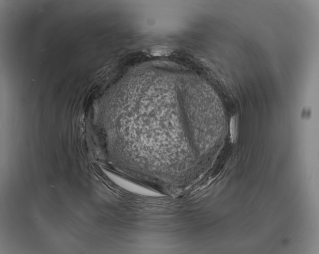 X0000093731443200711060950