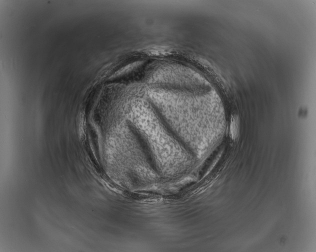 X0000093731444200711060950