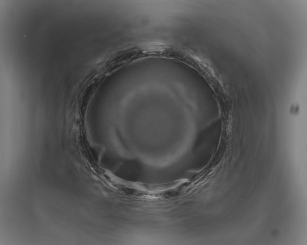 X0000093731445200711060950