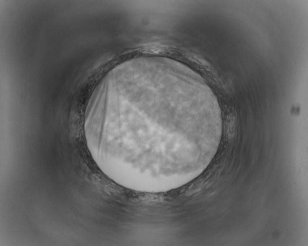 X0000093731446200711060950