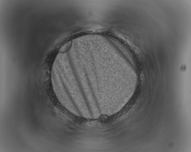 X0000093731447200711060950