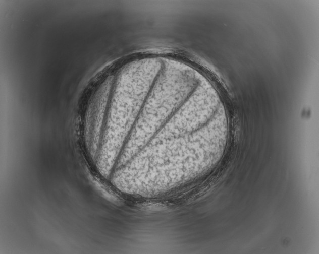 X0000093731448200711060950