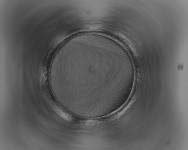 X0000093731449200711060950