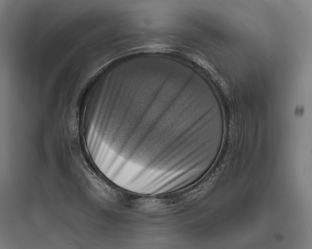 X0000093731450200711060949