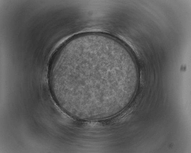 X0000093731452200711060949