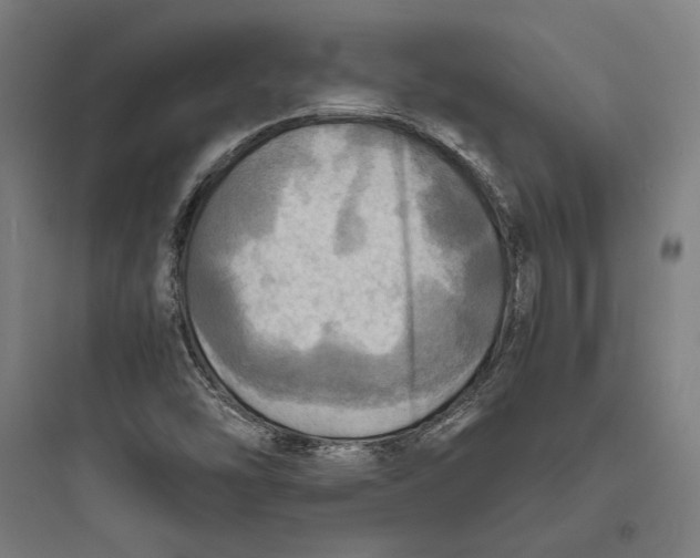 X0000093731454200711060949