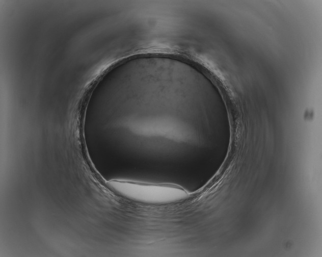 X0000093731455200711060949