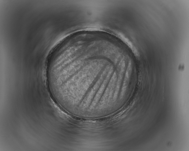 X0000093731456200711060949