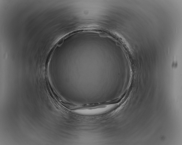 X0000093731457200711060949